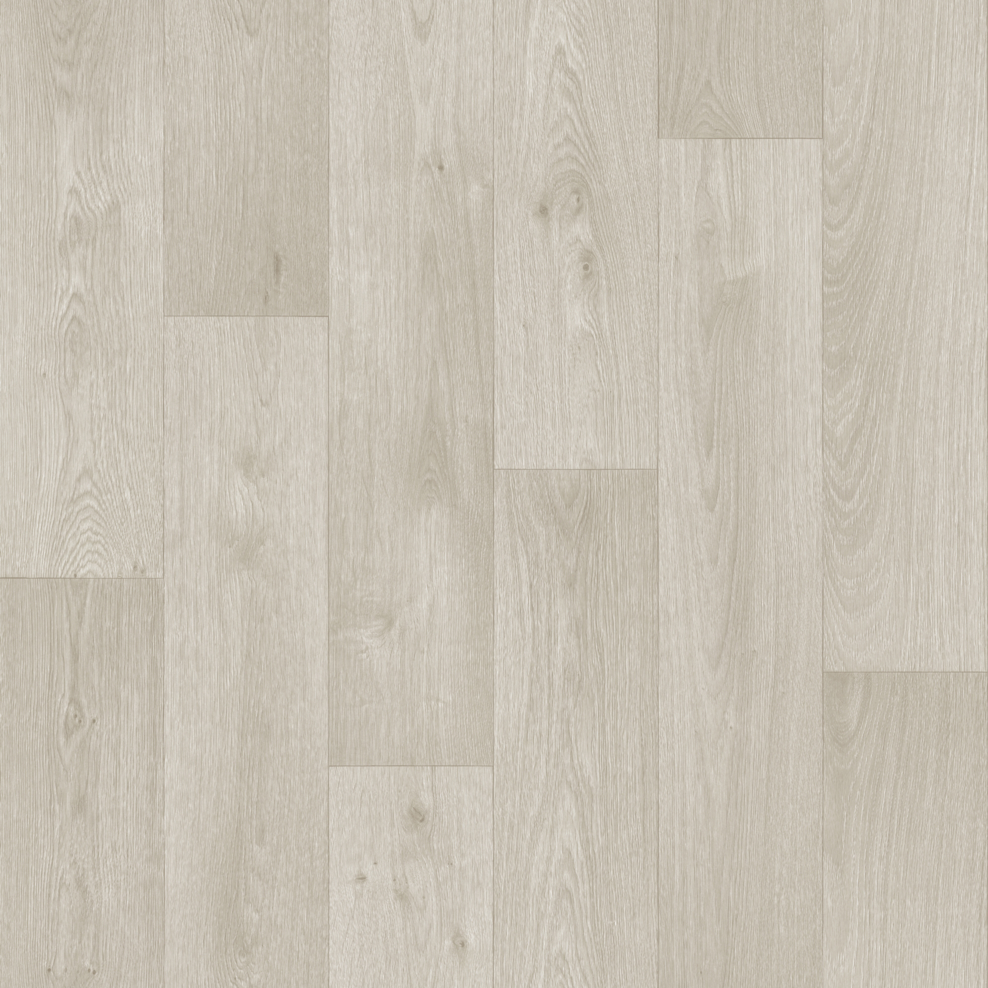 Harlem Grey Oak