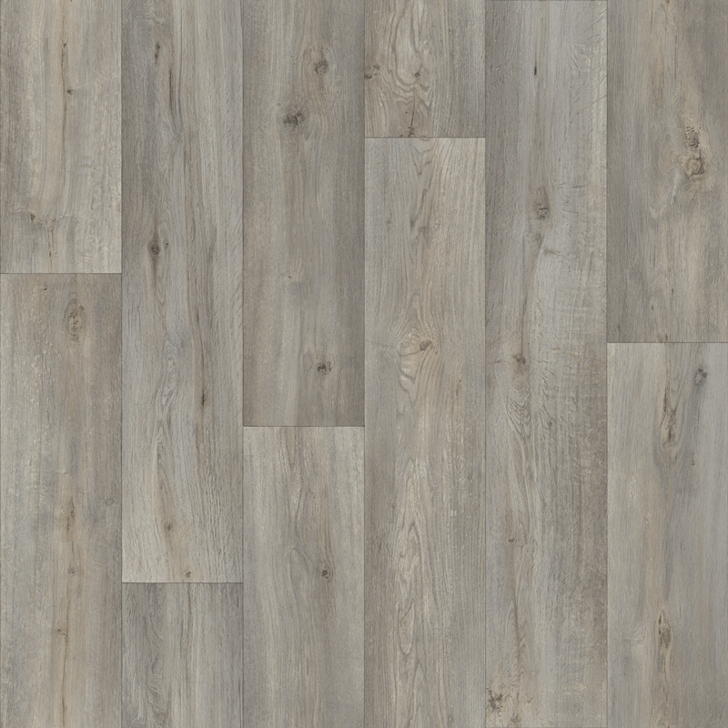 SilverTex Silk Oak